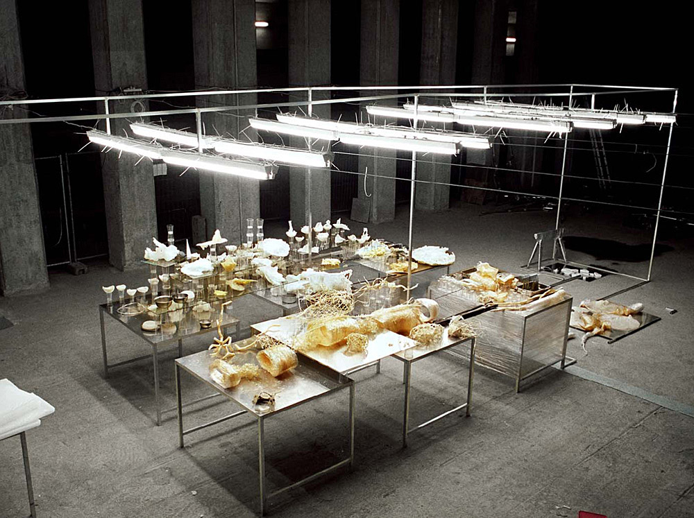 Ingolf Keiner Installation Ausfaltung4